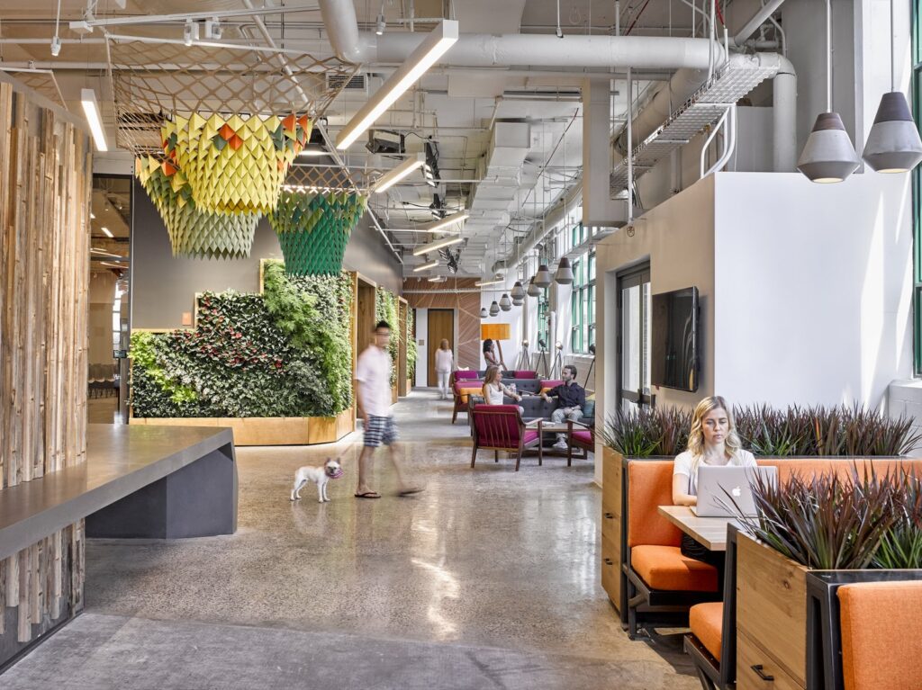 Open space avec plantes et espaces de détente colorés pour préparer la rentrée