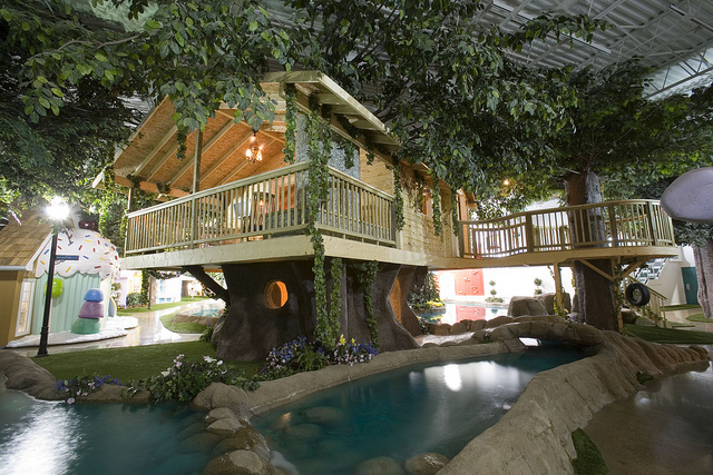Bureau aménagé avec une cabane dans un arbre et un bassin
